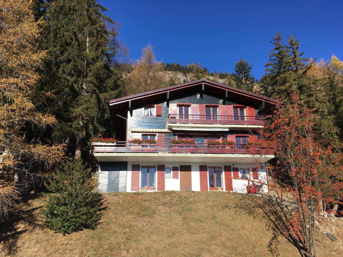 Pension Les Audannes Анзер Екстер'єр фото